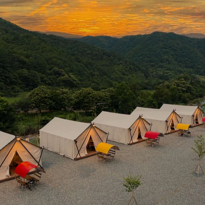 [가평군] 자작나무글램핑