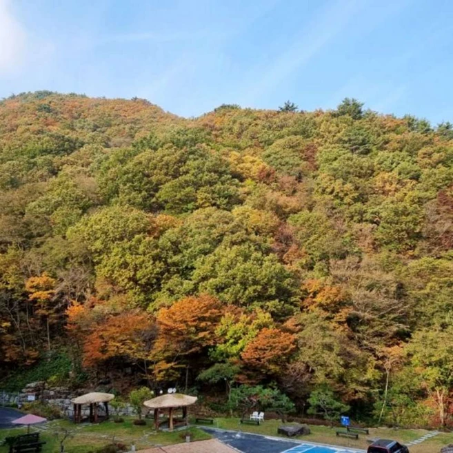 [전라남도] 구례 준성리조트