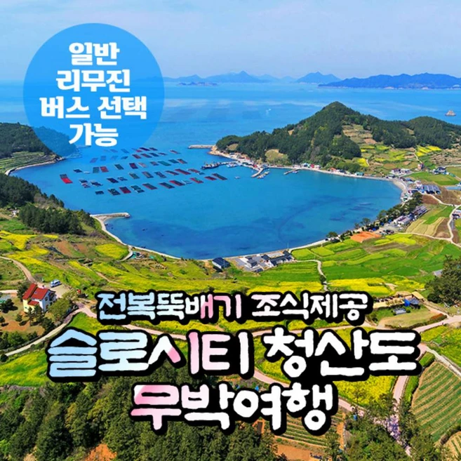 [전남] 슬로시티 청산도 유채꽃+청해진 장보고 유적지/장도섬 무박여행(일반/리무진 선택)/서울경기出