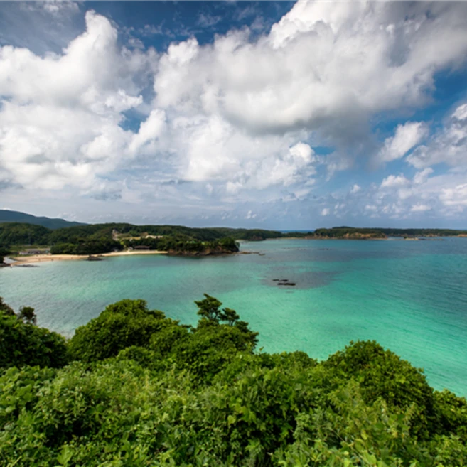 [히타카츠] #모두투어 ★출발확정★ 대마도 당일투어 (버스+중식+가이드 동반) #대아고속 #BJC650SFJ2