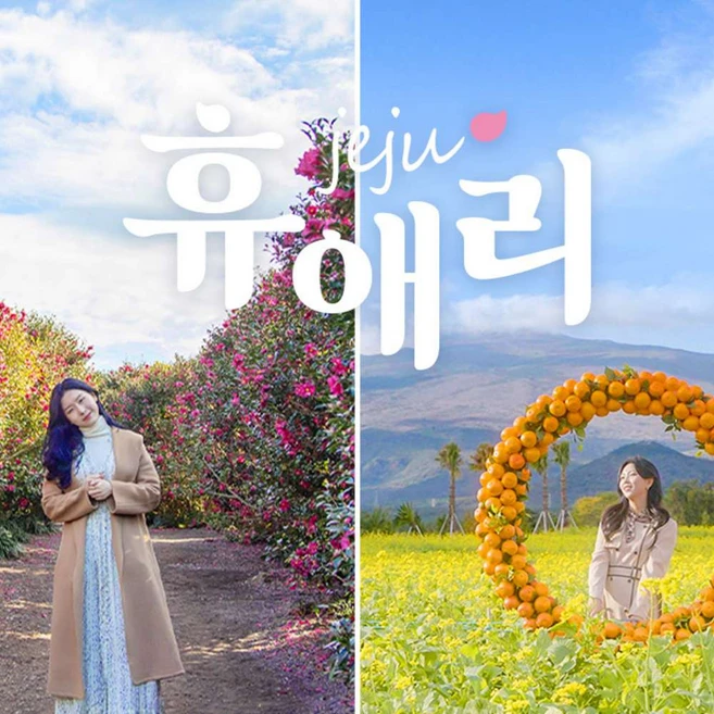 [제주] 제주 휴애리 유채꽃축제(소인무료입장)