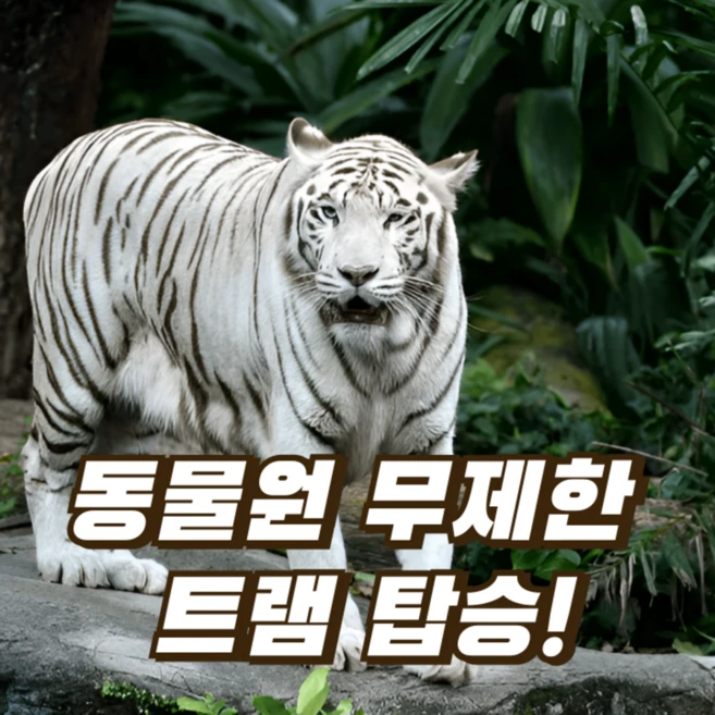 [싱가포르] [당일발권] 싱가포르 동물원 입장권 & 무제한 트램 탑승 (온라인 최저가)