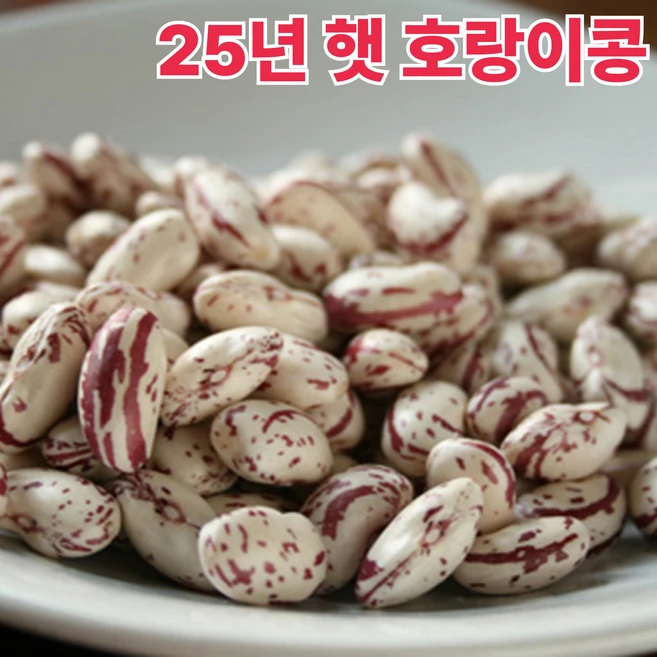 [초특가할인] 당일수확 호랑이콩 강낭콩 하루20박스만, 1개, 500g