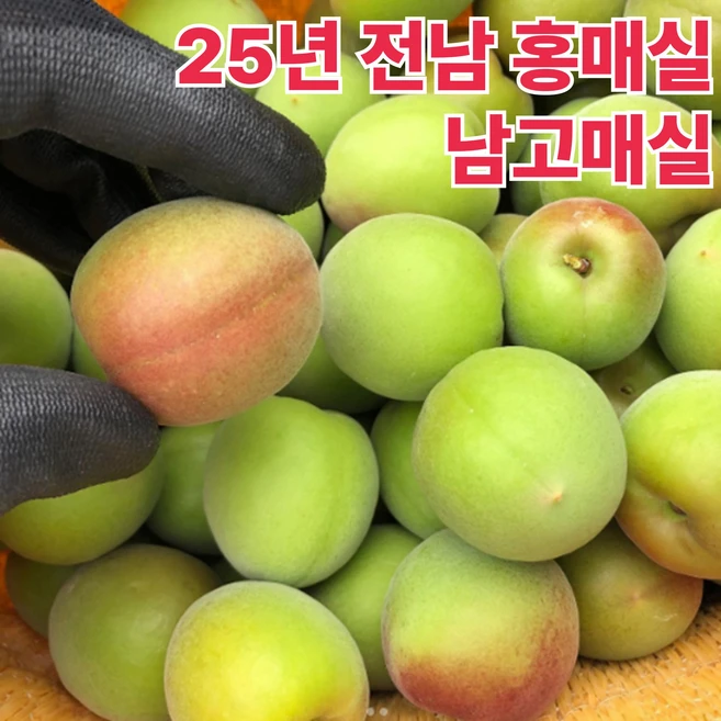 [초특가할인] 당일수확 홍매실 남고매실 하루20박스만, 1박스, 10kg 대