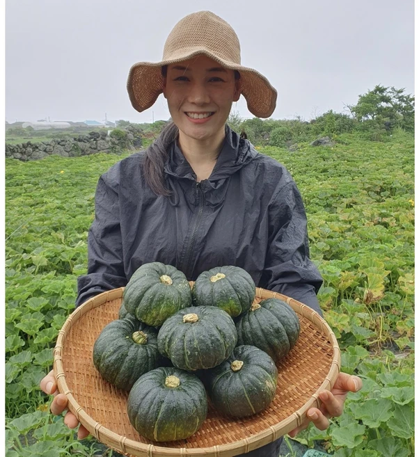제주 농약불검출 보우짱 미니단호박 밤호박 숙성 최고당도, 400g, 1박스, 특품 로얄과 2kg(3~6개)