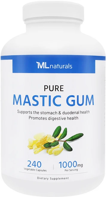 [미국빠른직구] 마이라이프 내추럴스 매스틱검 1000mg 240정, 1개