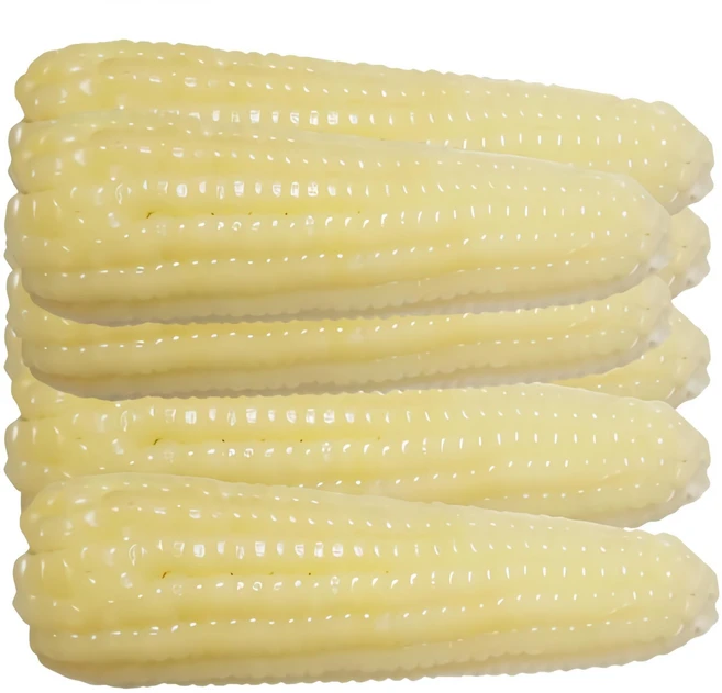 백찰 냉동삶은옥수수20개, 7kg(백찰특대, 20개), 1개
