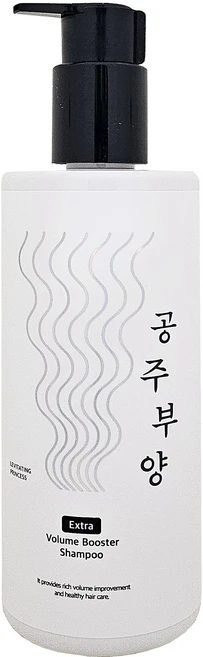 2025 HOT 여성탈모샴푸 가히 공주부양 볼륨부스터 샴푸 탈모관리 볼륨업 공중부양 탈모 볼륨 윤기 케어, 1개, 500ml