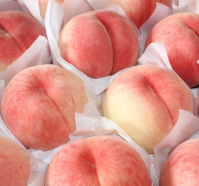 [달콤과즙] 고당도 털복숭아 말랑이 물복 백도 복숭아, 1개, 500g