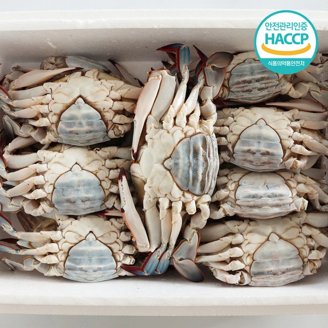 [연평도] 국내산 특품 급냉 암꽃게, 1개, 2kg (6-10미)
