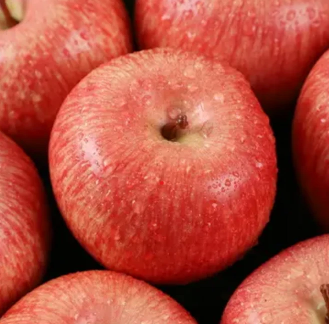 [노마진특가] 한정판매 흠집 부사 못난이사과, 1박스, 3kg