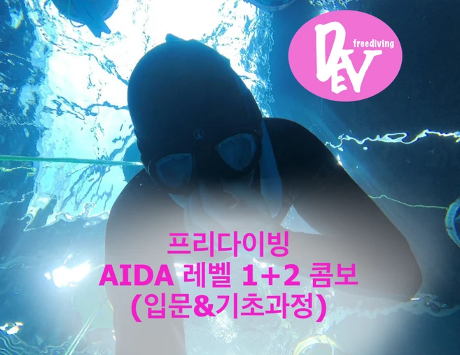 프리다이빙 강습 AIDA 레벨 1+2 콤보 교육(입문&기초과정)