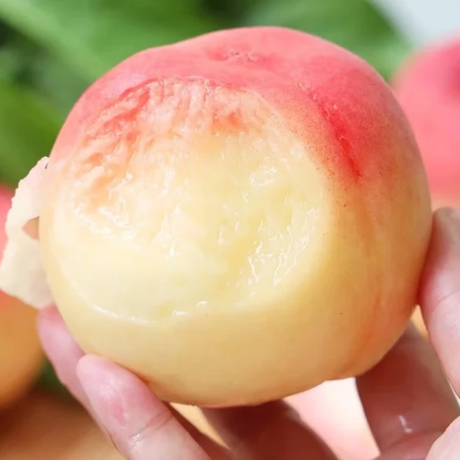 [무더위특가] 우수농장 100박스특가 고당도 백도복숭아, 1박스, 4kg