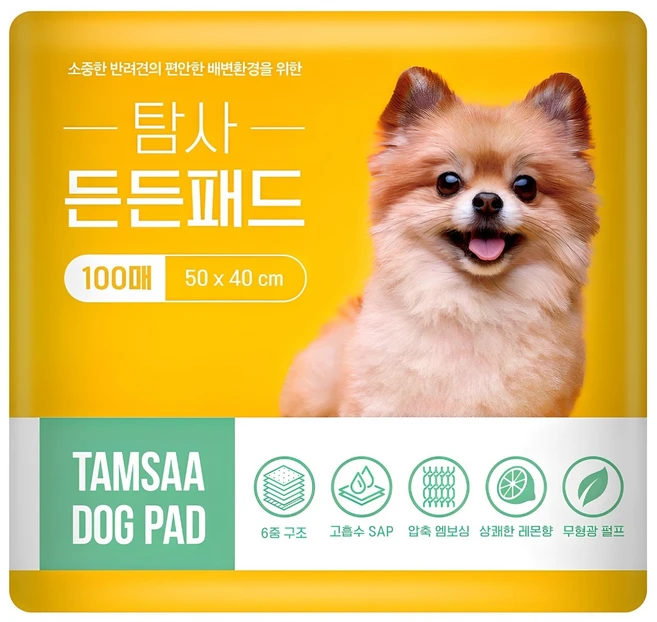 탐사 고흡수 든든패드 레몬향, 100개입, 1개
