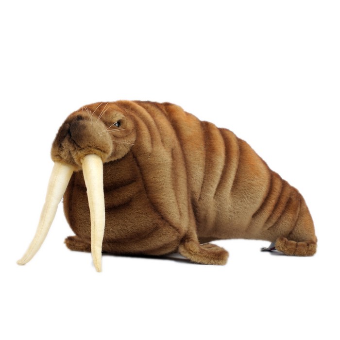 5327번 바다코끼리 Walrus, 38cm.L 대표 이미지 - 코끼리 인형 추천