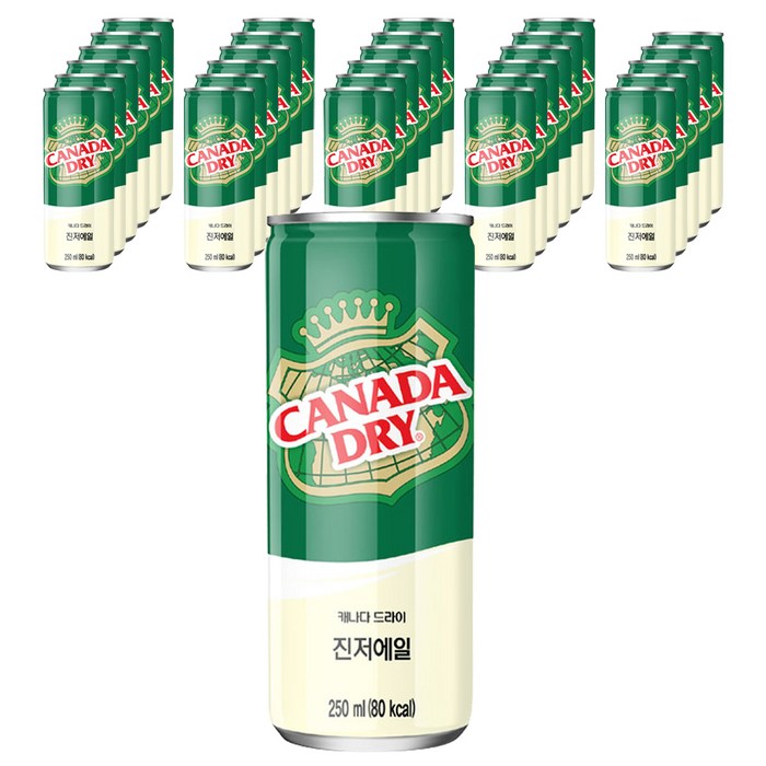 캐나다드라이 진저에일, 250ml, 30개 대표 이미지 - 캐나다드라이 추천