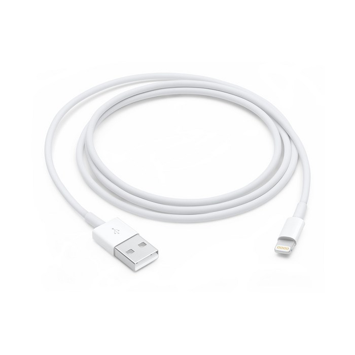 Apple 정품 라이트닝 to USB 케이블 1m, 1개 대표 이미지 - 애플 정품 케이블 추천