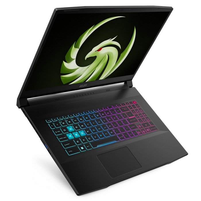 MSI 2023 브라보 17 라이젠9 라이젠 7000 시리즈 지포스 RTX 4060, 블랙, 512GB, 16GB, Free DOS, C7VFKP-R9 (058) 대표 이미지 - 17인치 게이밍 노트북 추천