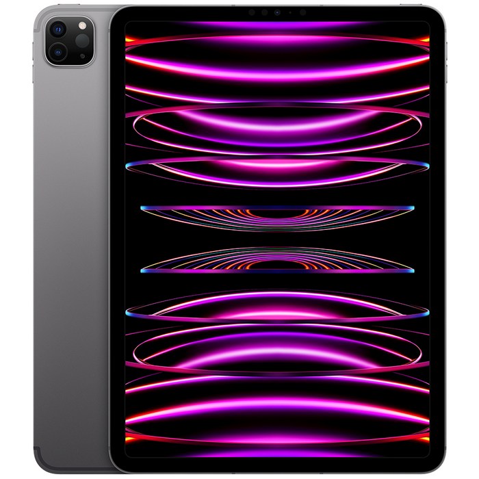 Apple 정품 2022 아이패드 프로 11 4세대 M2칩, 스페이스그레이, 256GB, Wi-Fi+Cellular 대표 이미지 - 스페이스 그레이 추천
