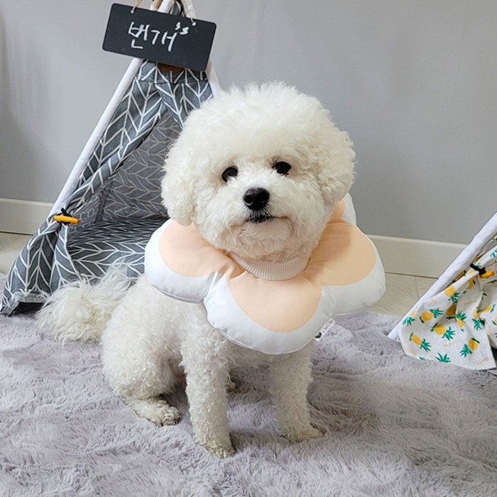 리스펫 반려동물 꽃개꽃냥 넥카라 핑크 S, 80g, 1개 대표 이미지 - 강아지 넥카라 추천