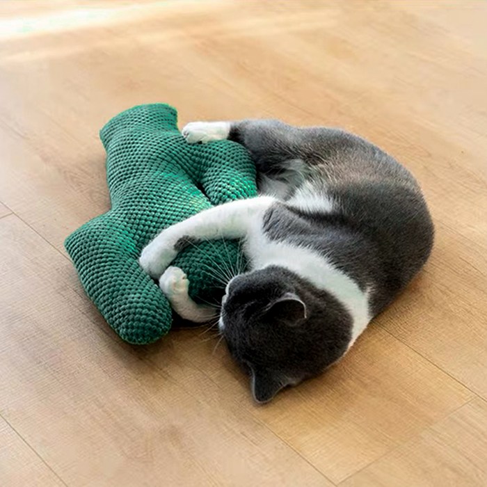 요기쏘 고양이 선인장 캣닢 인형, 녹색, 1세트 대표 이미지 - 고양이 캣닢 추천