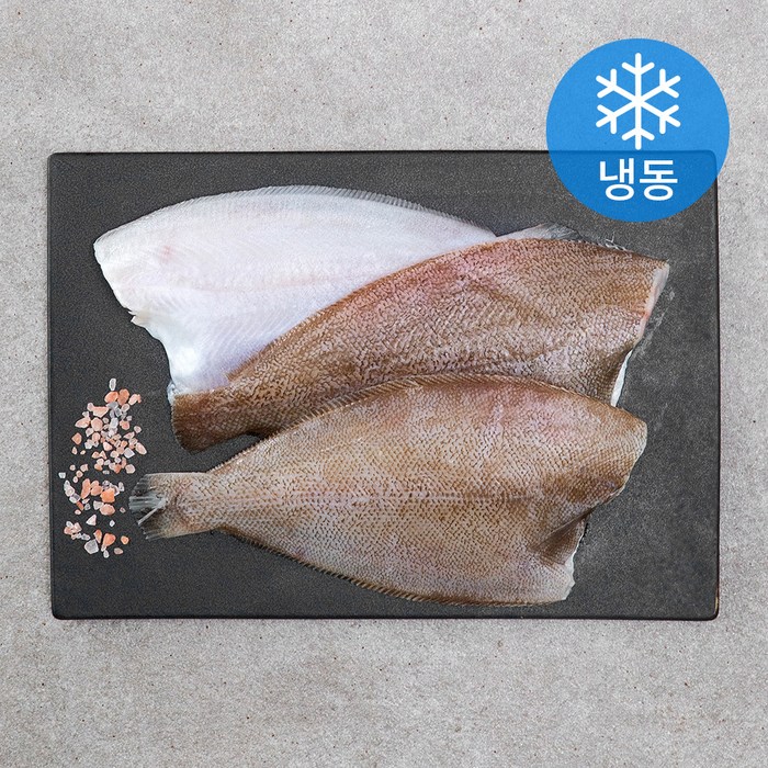 제주 가자미 (냉동), 500g, 1개 대표 이미지 - 순살 생선 추천