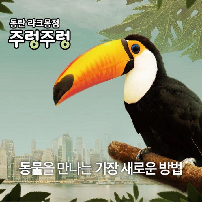 [동탄] 주렁주렁 실내동물원 입장권_동탄 라크몽점(NEW) 대표 이미지 - 카페 추천