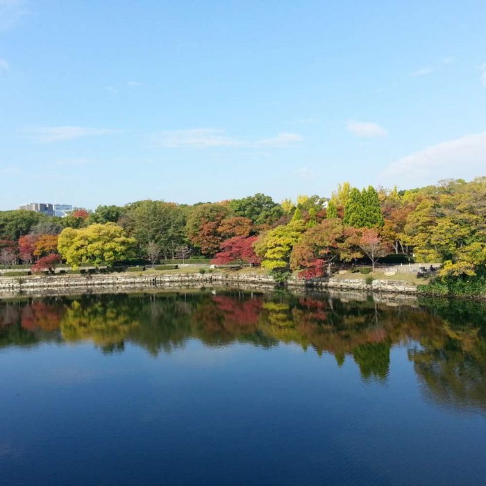 [오사카] 부산출발 에어부산 오사카/교토/와카야마 3일 #JOP334BXW 대표 이미지 - 오사카 패키지 여행 추천