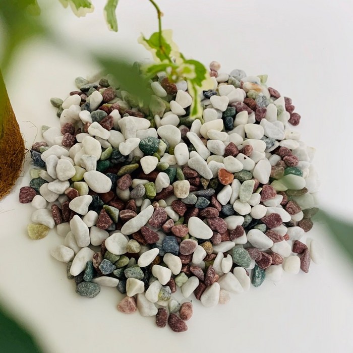 오색자갈2kg 오색돌멩이 수경재배자갈 조약돌