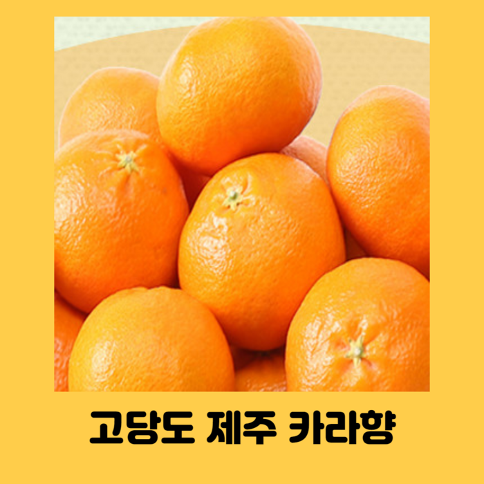 당도 높은 고당도 제주 카라향 1kg 2kg 2.5kg 4.5kg, 4.5kg 중과 31-41과 내외 대표 이미지 - 제주 카라향 추천