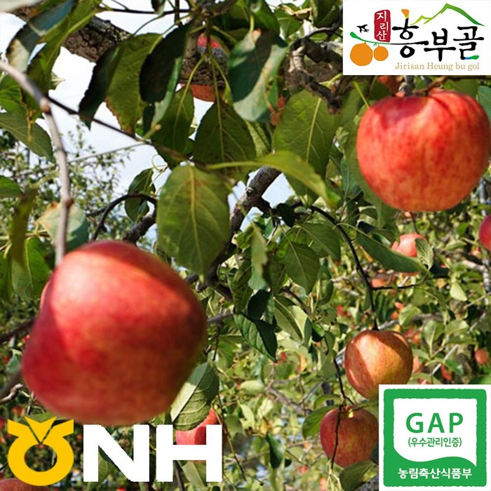 지리산 반달곰 사과 5kg (부사)-지리산농협하나로마트, 17과~18과 대표 이미지 - 저탄소 사과 추천