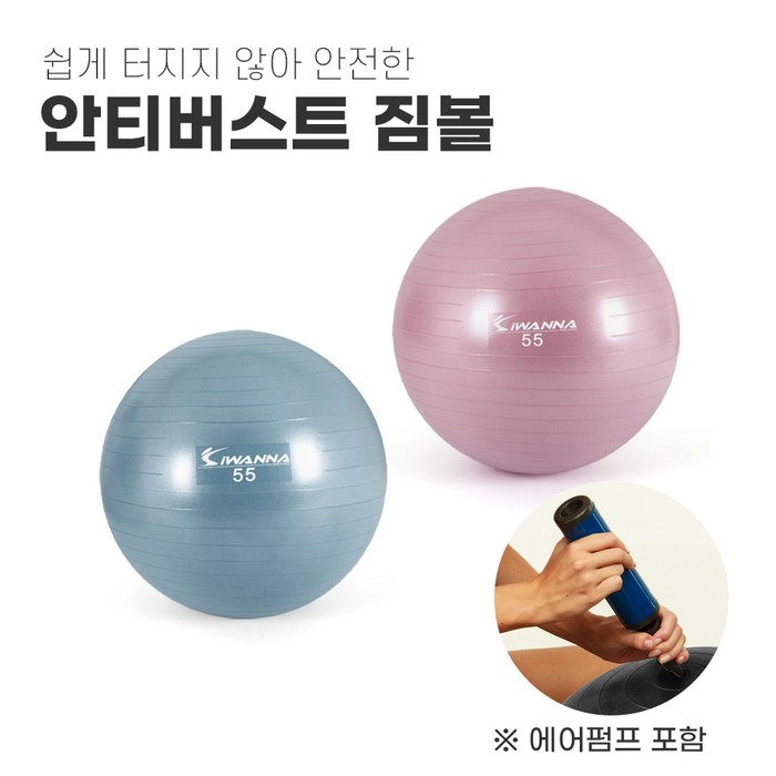 안티버스트 짐볼 55 요가용짐볼 필라테스짐볼 짐볼운동 요가짐볼 55cm, 와일드 핑크 대표 이미지 - 강아지 짐볼 추천