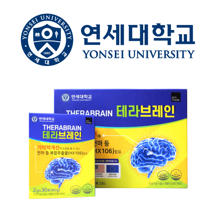 연세 테라브레인 중년 장년 뇌 영양제 기억력 집중력 1BOX 수험생 직장인, 60개입 / 120g, 1박스 대표 이미지 - 수험생 영양제 추천