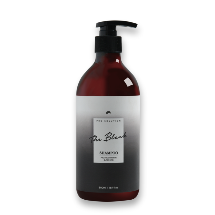 새치 커버 염색 염모 컬러 샴푸 임산부 약산성 지성 더 블랙 샴푸 500ml 컨디셔너 1+1, 03. 더 블랙 세트 (컨디셔너 포함) 대표 이미지 - 염색샴푸 추천