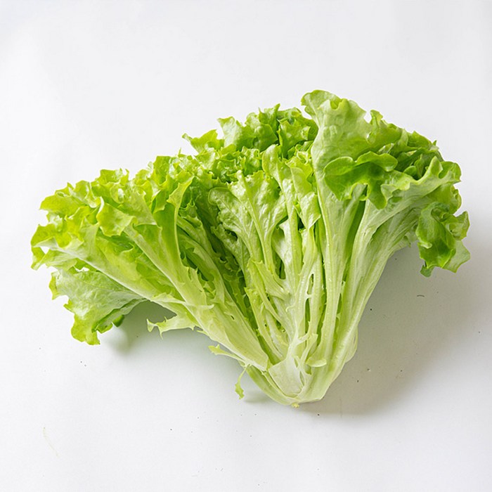 이자벨 샐러드채소 이자벨멀티립 300g, 멀티립 300g 대표 이미지 - 쌈무 추천