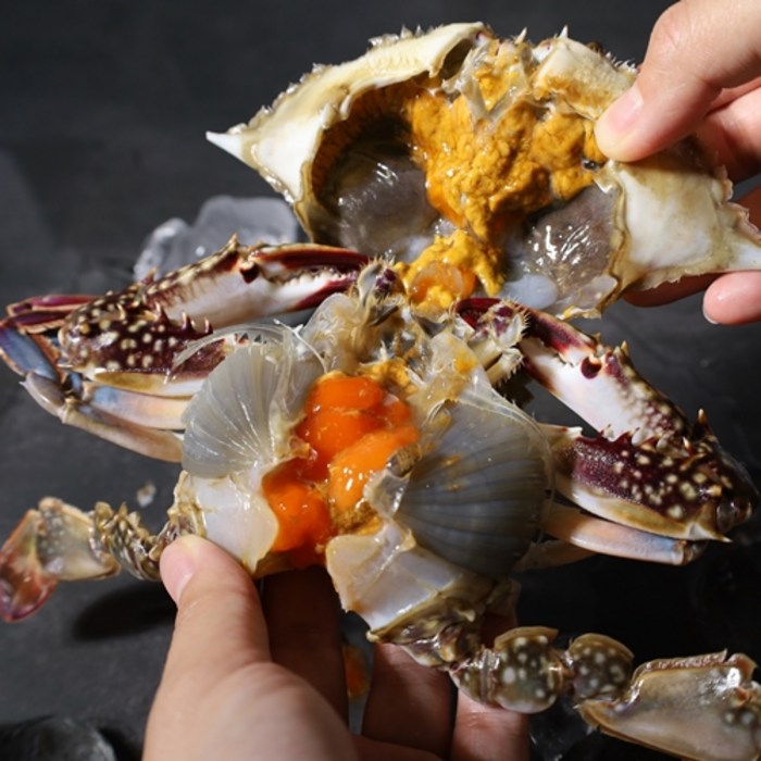 국내산 신안 싱싱한 알배기 암꽃게 1kg 2kg 서남해안 햇꽃게 급냉꽃게 대표 이미지 - 알배기 암꽃게 추천