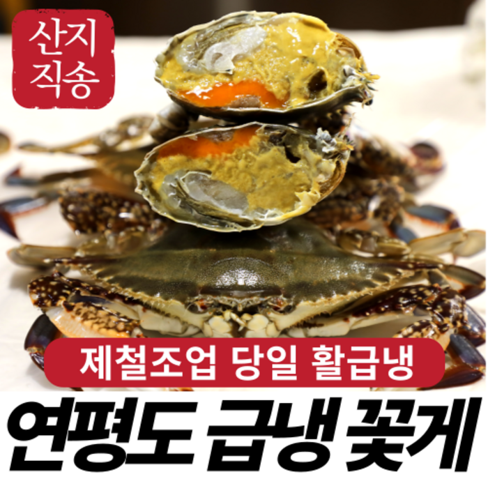 [산지직송] 안군수산 연평도 제철 활 알배기 암꽃게 숫꽃게 급냉 냉동 꽃게 2kg 1kg 당일발송, 1. 급냉 알배기암꽃게 중 1kg(4~6미) 대표 이미지 - 연평도 꽃게 추천