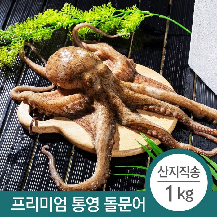 100% 자연산 당일조업 산지직송 통영 돌문어 1kg (1~3미) 대표 이미지 - 자숙문어 추천