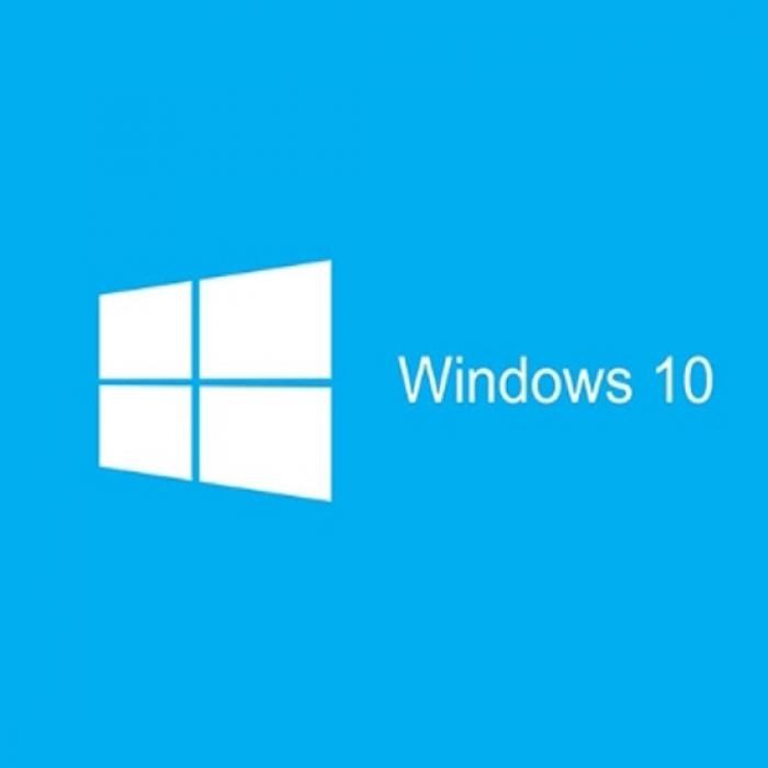 Windows10 Home COEM (DSP/영문/64bit), 留