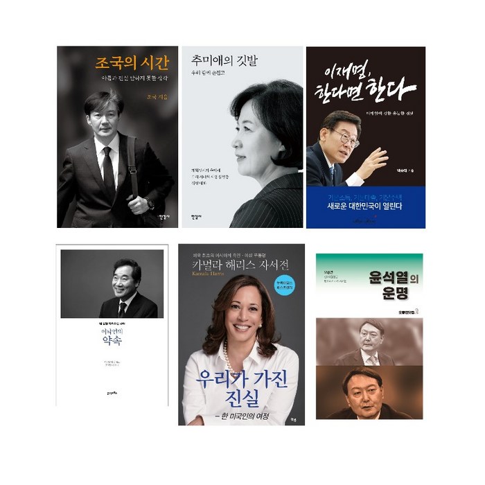 조국의 시간 추미애의 깃발 이재명 한다면한다 이낙연의 약속 우리가가진 진실 윤석열의운명, 6. 윤석열의 운명 대표 이미지 - 추미애 책 추천