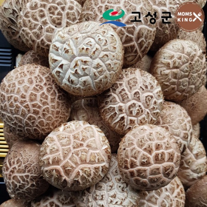 [공룡나라]고성 웅이표고농장 생표고버섯(생표고 중품1kg), 단품 대표 이미지 - 표고버섯 선물세트 추천