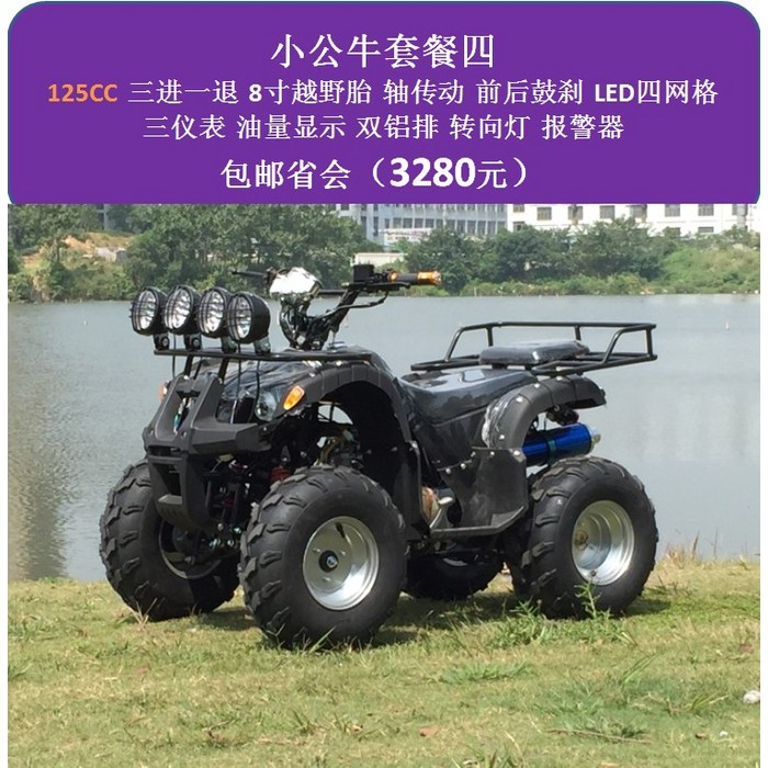 4륜 사발이 농업용 산악 오토바이 맞춤 제작 전지형 ATV 소형 바이크, 타입B