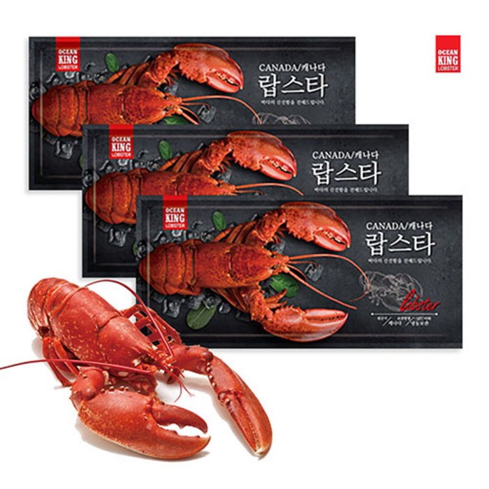 홈쇼핑상품 [오션킹] 캐나다 자숙 랍스터 3미 1.3kg/ 5미 2.1kg이상 (1팩 400~500g), 랍스터 3팩 총1.3kg이상 대표 이미지 - 자숙 랍스터 추천