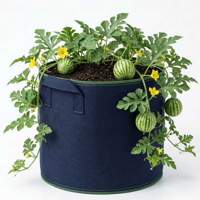osshop 블루베리 부직포 화분 65리터 대형 50cm - 40cm, 부직포화분, 5개