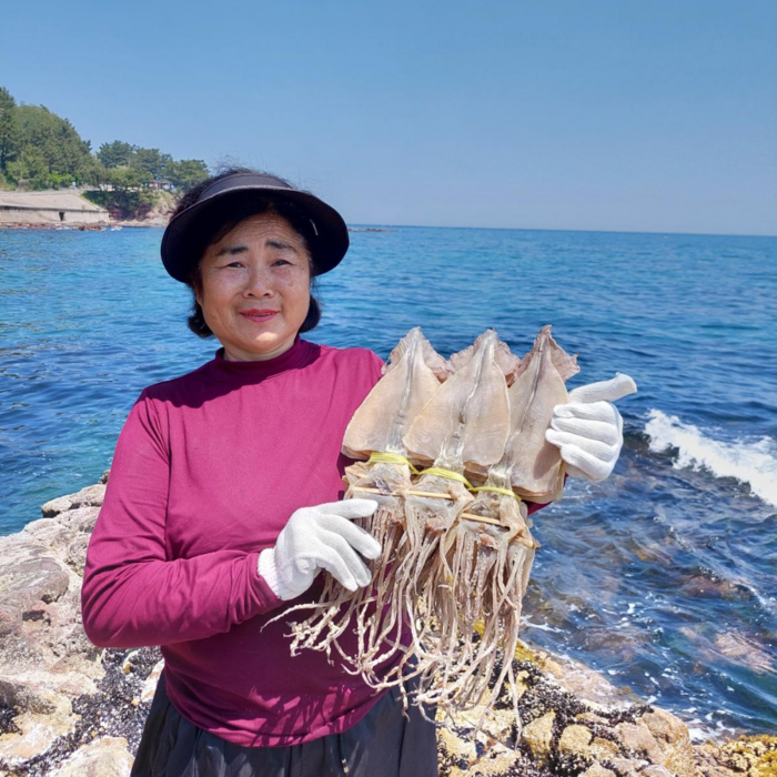 오징어엄마 국내산 마른 오징어 건오징어 건조오징어, [당일바리] 대 10마리(750g) 대표 이미지 - 우럭회 추천