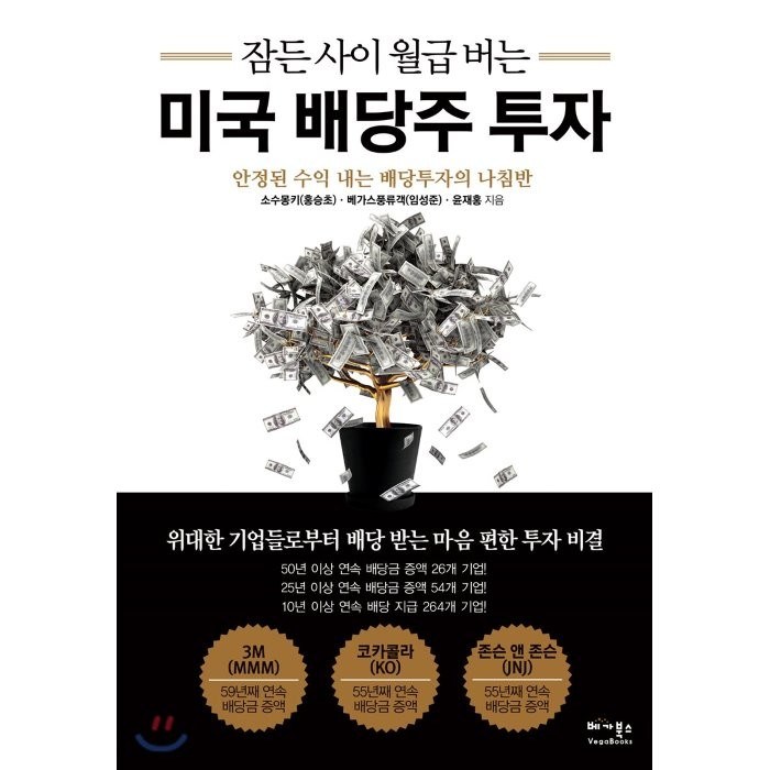 잠든 사이 월급 버는 미국 배당주 투자:안정된 수익 내는 배당투자의 나침반, 베가북스, 윤재홍 대표 이미지 - 갭투자 추천