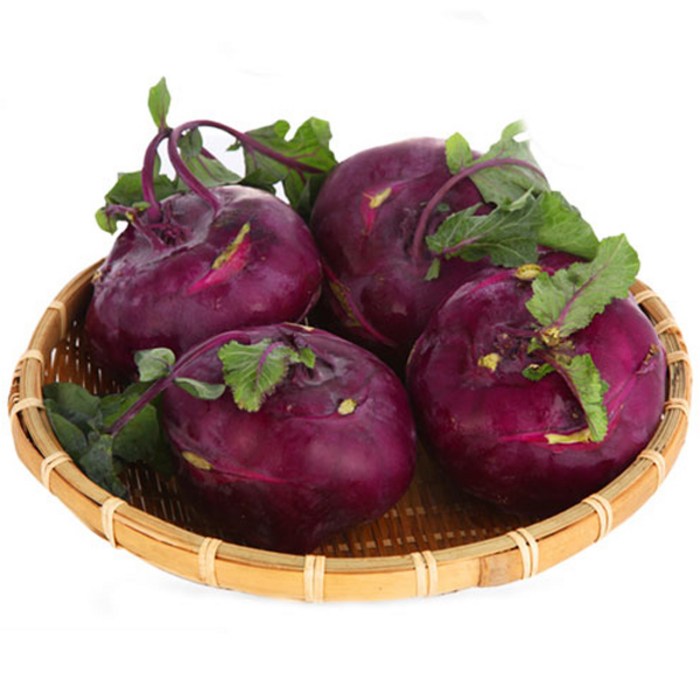 21년 겨울수확 제주 햇 콜라비, 1box, 콜라비5kg 대표 이미지 - 샐러드 야채 추천