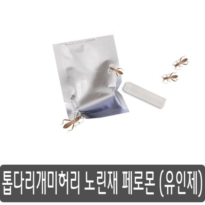 톱다리 개미허리노린재 퇴치 유인제, 1개 대표 이미지 - 개미허리 추천