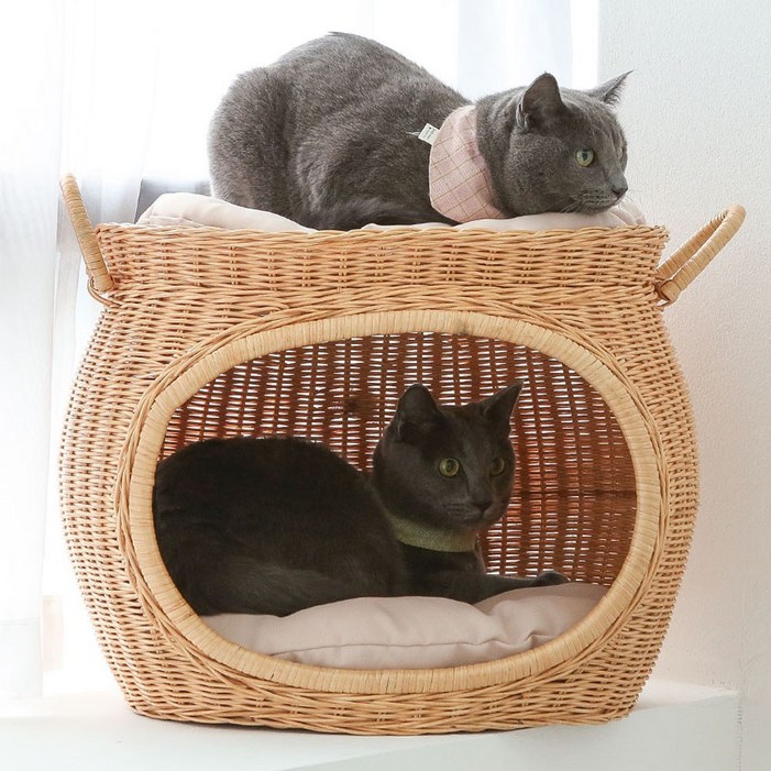 초록씨 고양이 강아지 라탄 하우스고양이집 강아지집 하우스쿠션하우스, 2.항아리 라탄 하우스