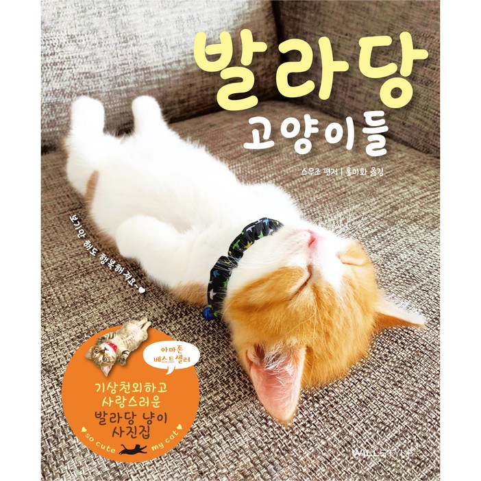 발라당 고양이들